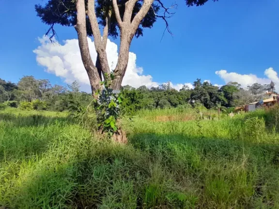 Imagem Lote à venda em Barbacena, Colônia Rodrigo Silva, 2500m2
