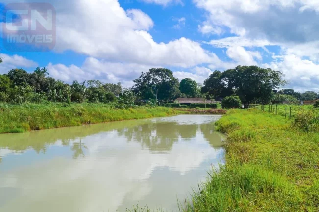 Imagem Fazenda para Venda em Castanhal