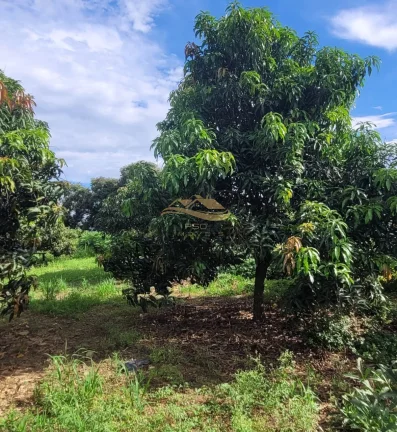 Imagem SITIO RURAL em MONTE MOR - SP, centro