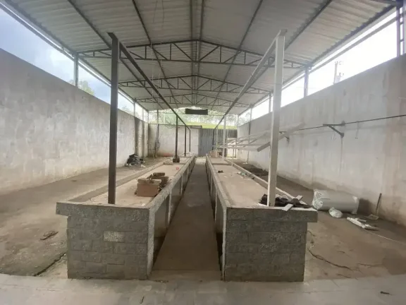Imagem Venda ou Aluguel de dois Galpões na BR-040. Excelente oportunidade para investimento!