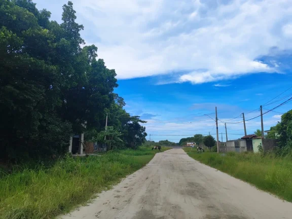 Imagem Terreno para Venda em Itanhaém, Gaivota (Interior)