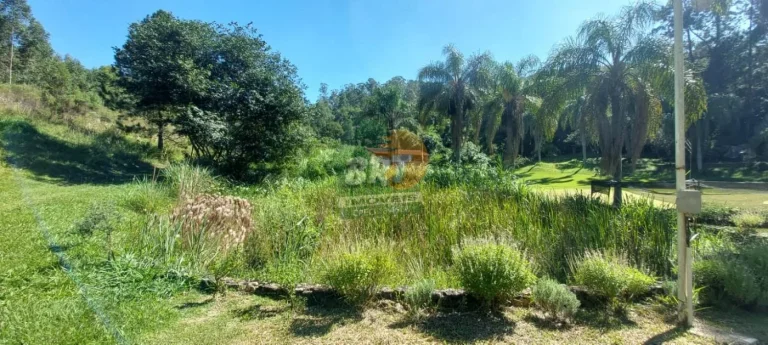 Imagem Sítio para Venda em São Roque, Ibate, 3 dormitórios, 3 suítes, 1 banheiro