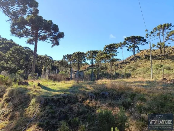 Imagem Fazenda de 34 hectares - São Joaquim/SC, Serra Catarinense