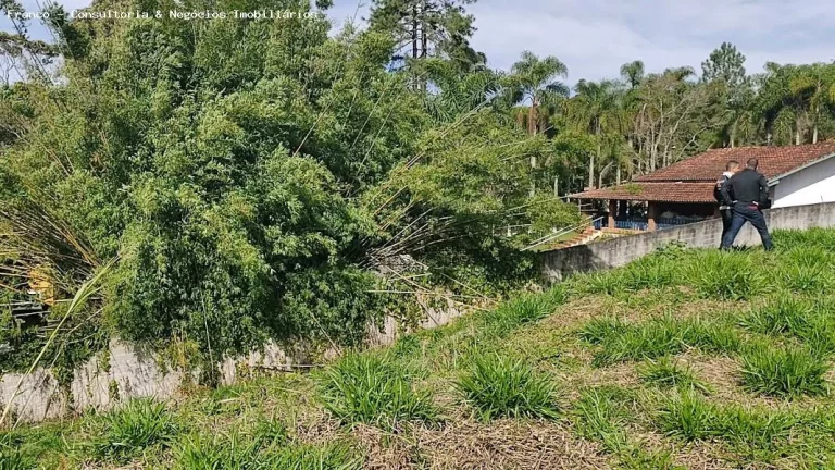 Imagem Área para Venda em Ribeirão Pires, Ouro Fino Paulista