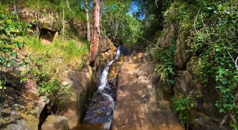Imagem Fazenda de 1067 alqueires à venda em Santa Branca com 180 nascentes
