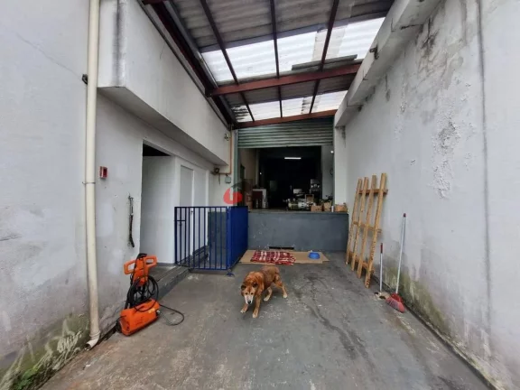 Imagem Galpão / Barracão para locação, Cerâmica, São Caetano do Sul, SP