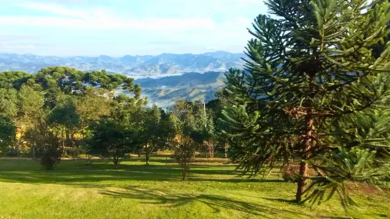 Imagem Exclusividade e Natureza: O Refúgio Definitivo no Coração do Paiol Grande