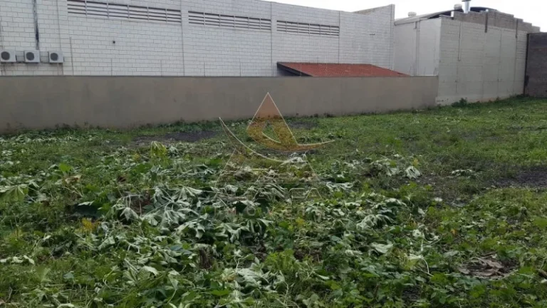 Imagem Terreno - Ribeirão Preto - Vila Elisa