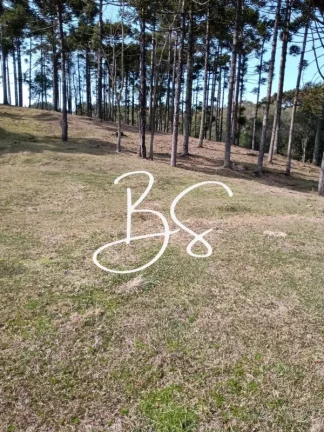Imagem AREA RURAL em CANELA - RS, São Lucas