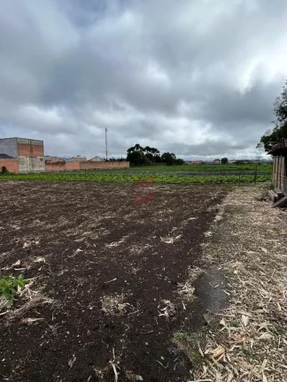 Imagem ÁREA à venda com 15924m² por R$ 6.370.000,00 no bairro Planta Santa Lúcia - PIRAQUARA / PR