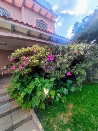 Imagem Casa Colonial à venda, Vila Santa Cruz, São José do Rio Preto, SP