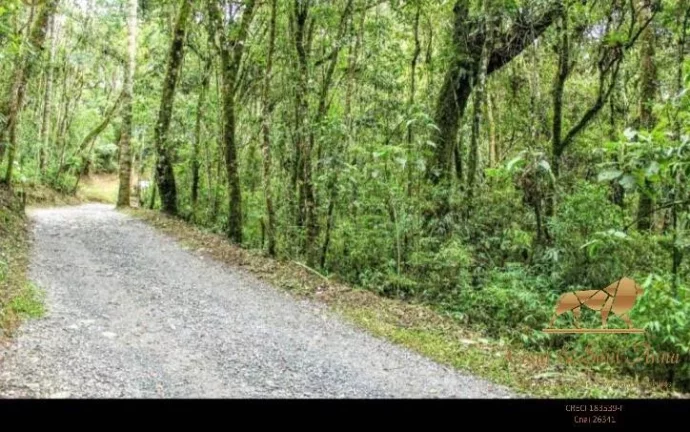 Imagem Terreno à venda, 1346 m² - Alto Do Capivari - Campos do Jordão/SP