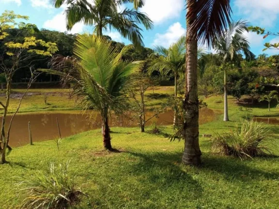 Sítio para Venda por R$600.000,00 com 3 dormitórios na casa sede, 2 casas e 2 cozinhas - Padre andre , Jacupiranga / SP - Cód. BDI28102