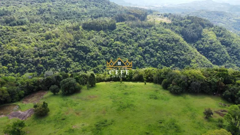 Imagem Chácara - Sítio com 2 Dormitorio(s) localizado(a) no bairro Linha Ávila em Gramado / RIO GRANDE DO SUL Ref.:1478