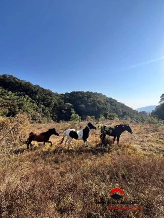 Imagem Área a Venda na Região entre Campos do Jordão e São Bento do Sapucaí-SP.