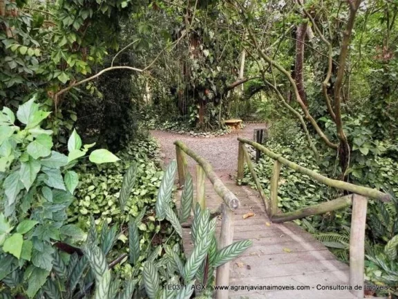 Imagem Cond. Jd. Mediterrâneo - lote! Central, plano e limpo! -Granja Viana