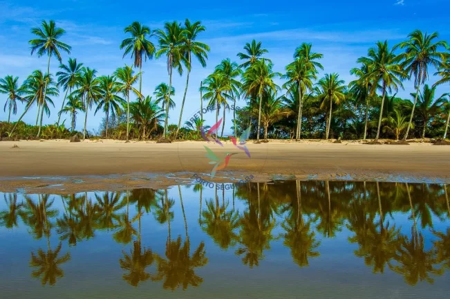 Imagem Pé na Areia - Linda Propriedade com 200 m de Praia - 15 ha.