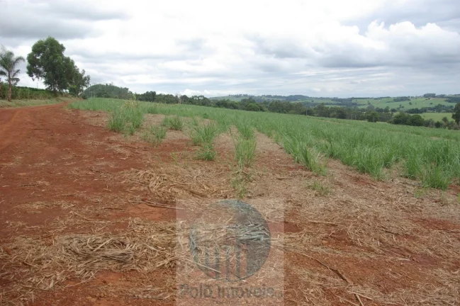 Imagem Fazenda em Cajuru 65,2254 alqueires com 35 alqueires em cana - a 78 km de Ribeirão Preto - SP sentido Casa Branca