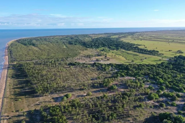 Imagem Fazenda a venda em Bahia BA, farms for sale in Bahia Brazil, farm for sale in Brazil, comprar fazenda estado da Bahia, fazenda para venda na Bahia