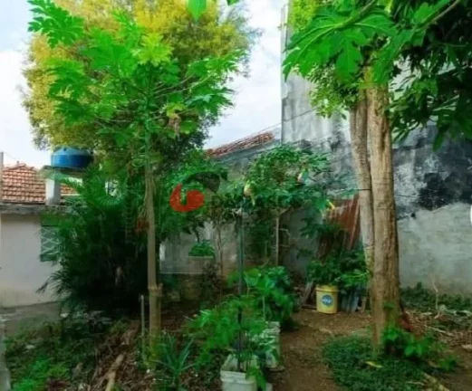 Imagem Casa à venda, Vila Alpina, São Paulo, SP