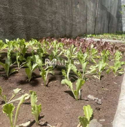 Imagem 2qts., 1 suíte, 2 vagas, 50m² na Madalena..