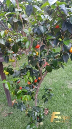Imagem CASA EM CONDOMÍNIO FECHADO COM 4 QUARTOS EM VILLAGE DO SOL