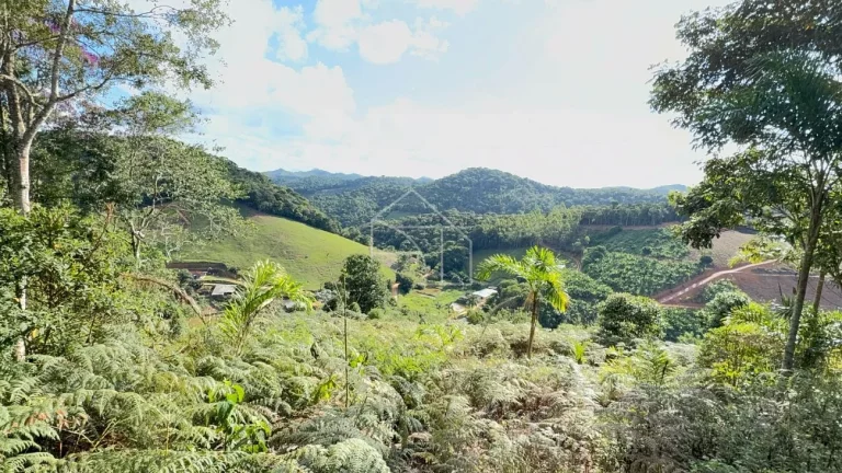 Imagem Chacara em Melgaço - Domingos Martins