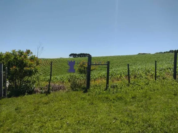 Imagem CHÁCARA COM 143.897M² NA REGIÃO DE BALSA NOVA