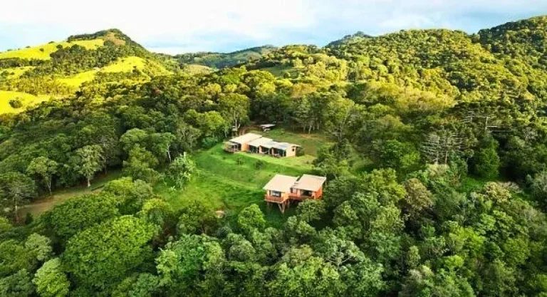 Imagem A Dimensão Exclusiva do Refúgio: Natureza e Investimento em Gonçalves