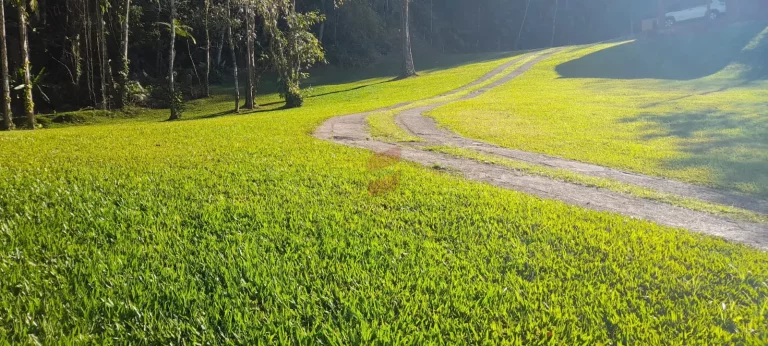 Imagem CHÁCARA à venda com 411400m² por R$ 2.400.000,00 no bairro Porto de cima - MORRETES / PR