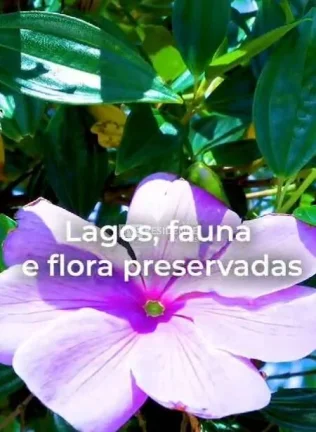 Imagem Quinta da Primavera: O Destino dos Seus Sonhos a Apenas 95 km de São Paulo