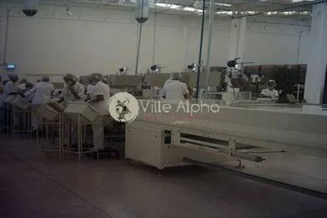Imagem INDUSTRIA DE BISCOITOS FABRICA TODA LINHA DE BISCOITOS RECHEADOS, 1.300 KG / HORA 80 MIL CAIXAS MES ...