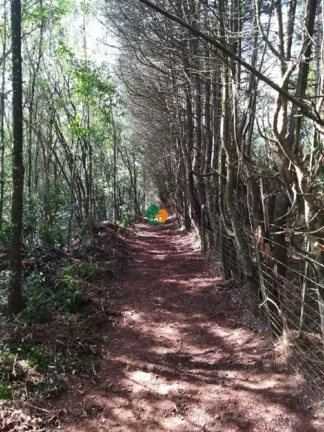 Imagem Terreno para Venda em São Roque, Mombaça