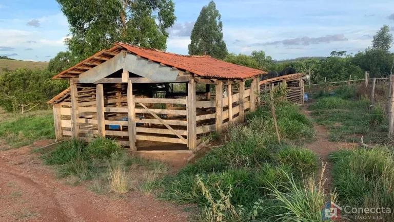 Imagem Sítio à Venda na Comunidade Caixetas – Guimarânia-MG | 11,9 Hectares com Casa de 186m² – R$ 700 Mil