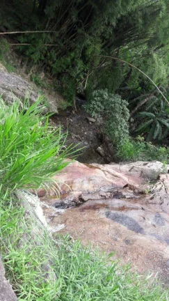 Imagem VENDO FAZENDA FICA A 25 KM DO CENTRO DE ANGRA 116 Hectares, MUITA ÁGUA