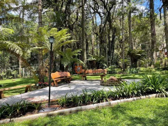 Imagem Chácara com 4 dormitórios à venda, 4000 m² por R$ 2.000.000 - Monte Verde - Camanducaia/MG