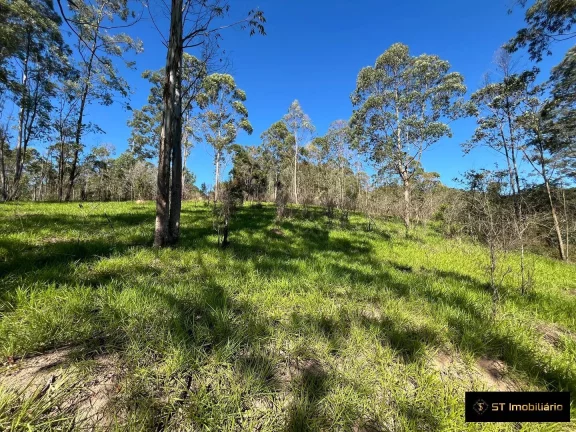 Imagem Oportunidade de Sitio a Venda em Atibaia/SP - 25.000 mil m²- R$600 MIL!