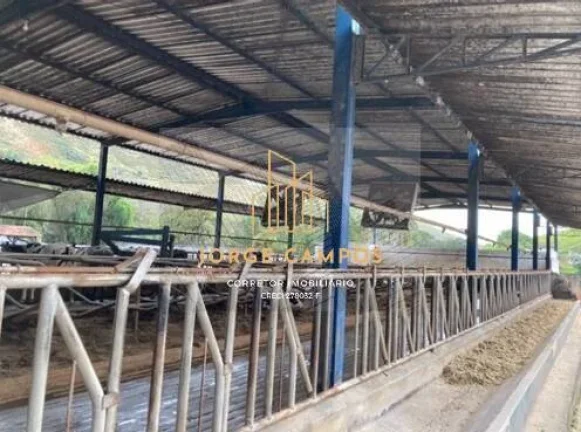 Imagem FA-25221 - FAZENDA À VENDA NA REGIÃO DE SILVEIRAS -SP