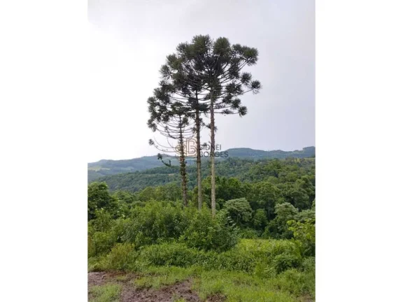 Imagem Sítio LINDÓIA DO SUL - SC