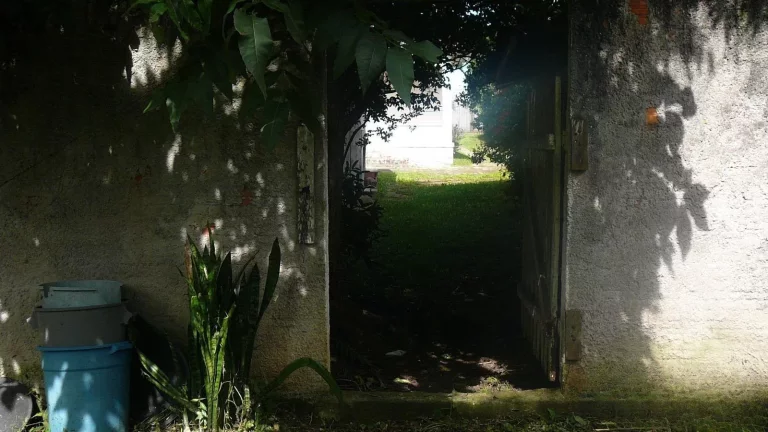 Imagem Terreno de 2096m2 no bairro Orleans