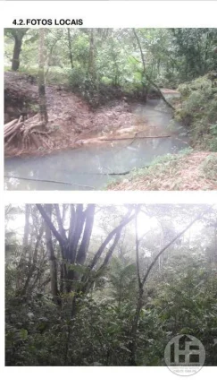 Imagem Chácara à venda com 8 hectares em Aldeia