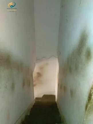 Imagem Apartamento Padrão para Venda em Brás São Paulo-SP