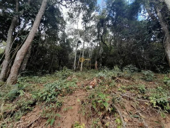 Imagem Terreno para Venda em Teresópolis / RJ no bairro Posse