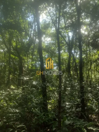 Imagem Chácara em Bela Vista de Goiás 

- Área total: 2 hectares; 
- Bela vista de Goiás 
- Entrada no ...