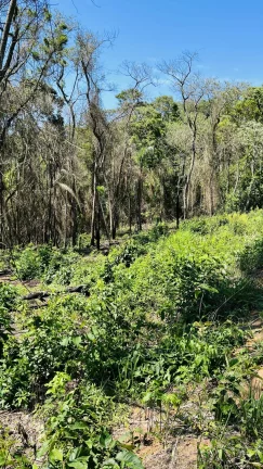 Imagem Terreno à venda em Estância Santa Maria do Laranjal, Atibaia - SP