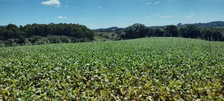Imagem TERRENO RURAL em CAMPO BELO DO SUL - SC, Área Rural