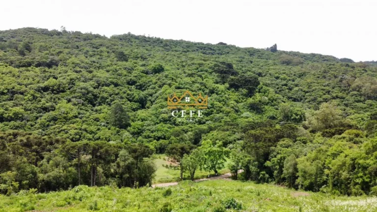 Imagem Chácara - Sítio com 3 Dormitorio(s) localizado(a) no bairro Serra Grande em Igrejinha / RIO GRANDE DO SUL Ref.:1594