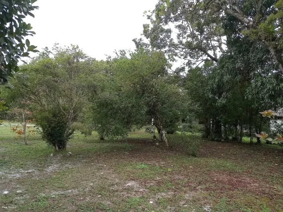 Imagem Chácara para Venda em Itanhaém, Jardim São Fernando, 3 dormitórios, 1 suíte, 2 banheiros, 10 vagas