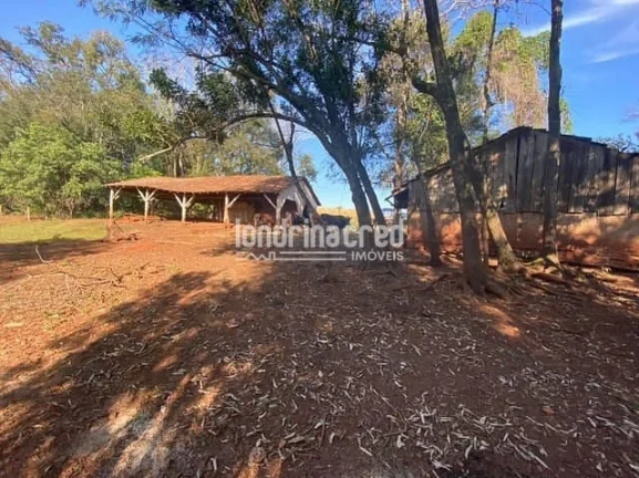Imagem Chácara à venda Zona Rural, Serranópolis do Iguaçu - PR