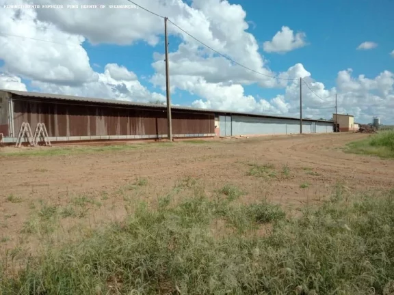 Imagem Chácara para Venda em Flórida, Zona Rural, 4 dormitórios, 1 suíte, 2 banheiros, 3 vagas
